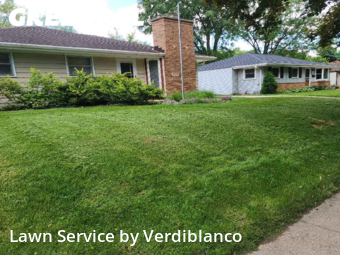 Yard Cutting nearby Madison, WI, 