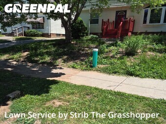 Yard Mowing nearby Garfield Heights, OH, 