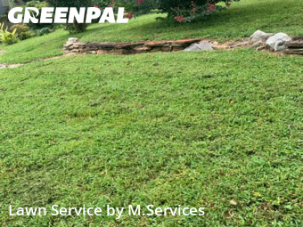 Grass Cut nearby Greensboro, NC, 