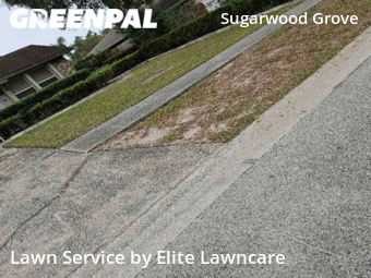 Lawn Mow nearby Tampa, FL, 