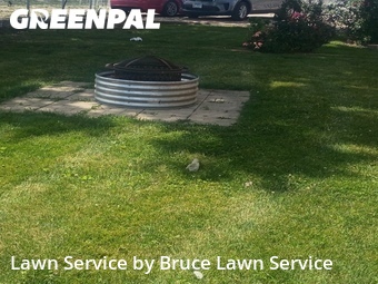 Lawn Cutting nearby Stone Park, IL, 