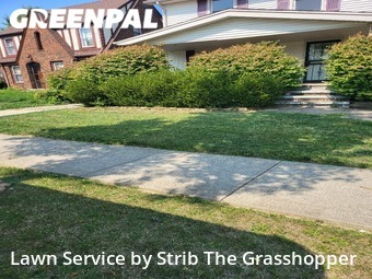 Lawn Care nearby Cleveland, OH, 