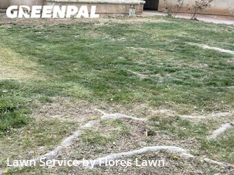 Lawn Maintenance nearby Palmdale, CA, 
