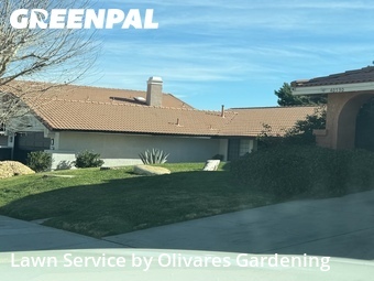 Work completed by affordable-lawn-services-in-Palmdale-CA
