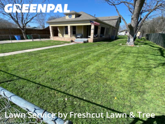 Lawn Mow nearby Seguin, TX, 
