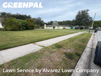 Grass Cutin Orlando,32809,Lawn Care Service by Alvarez Lawn Company, work completed in Nov , 2025