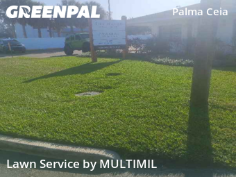 Lawn Cutin Tampa,33629,Lawn Mowing Service by MULTIMIL , work completed in Dec , 2025