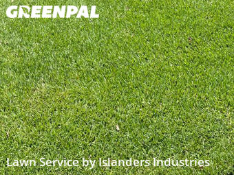 Lawn Cut nearby Westminster, LA, 