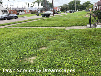 Lawn Cutting nearby Silverton, OH, 