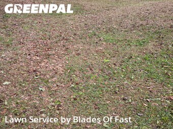 Lawn Mow nearby Newnan, GA, 