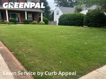 Lawn Cutin Matthews,28105,Yard Cutting by Curb Appeal, work completed in Jun , 2026