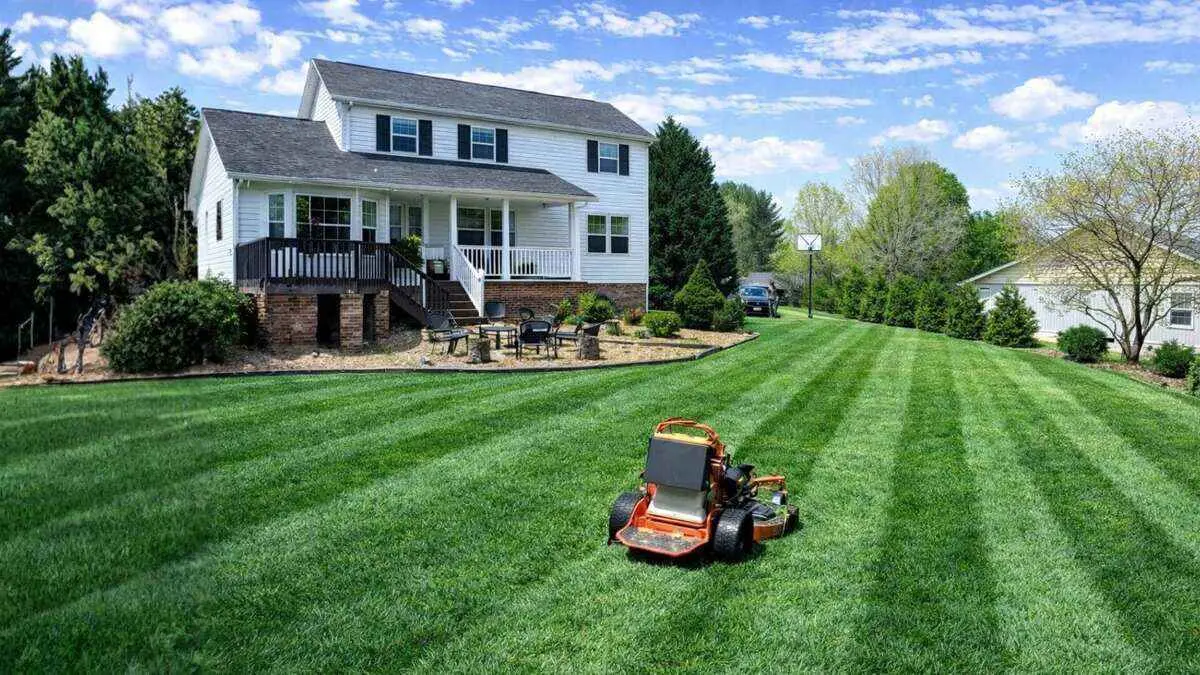 GreenPal vs calling local lawn companies - which is better? By Greenpal