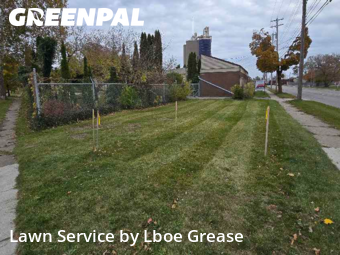 Lawn Mow nearby Lansing, MI, 