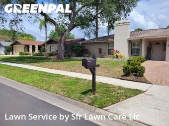 Lawn Management in East Lake, 34685, Yard Upkeep by Sfr Lawn Care Llc, work completed in Nov , 2025