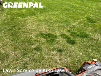 Grass Cutting nearby Eagan, MN, 