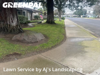 Work completed by professional-lawn-care-service-in-Modesto-CA