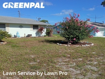 Lawn mowed in Venice, 34293