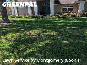 Grass Cut nearby Lakeland, FL, 