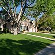 local-lawn-cutting-services-in-Pueblo-CO
