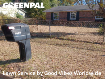 Yard Cutting nearby Albany, GA, 