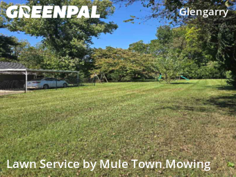 Lawn Care nearby Nashville, TN, 