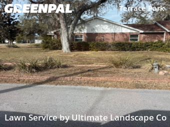 Lawn Maintenancein Tampa,33617,Lawn Care by Ultimate Landscape Co, work completed in Nov , 2025