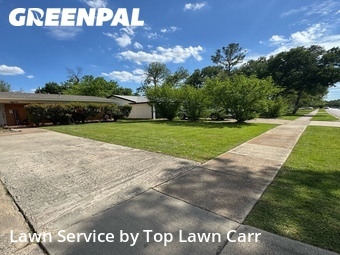 Grass Cut nearby Farmers Branch, TX, 