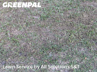 Grass Cutting nearby Winter Haven, FL, 