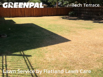 Grass Cut nearby Lubbock, TX, 