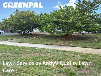 Lawn Cut nearby St. Petersburg, FL, 