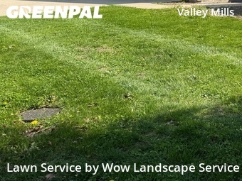 Lawn Mow nearby Indianapolis, IN, 