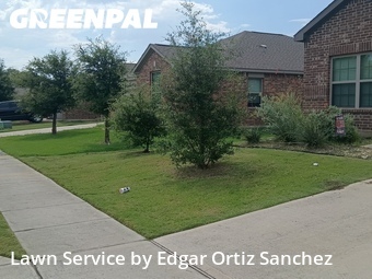Grass Cutting nearby Princeton, TX, 
