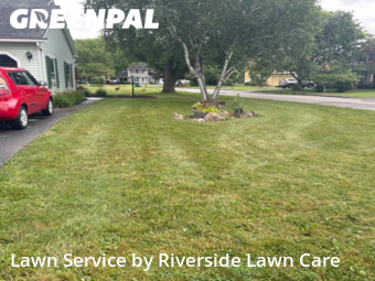 Grass Cut nearby Rochester, NY, 