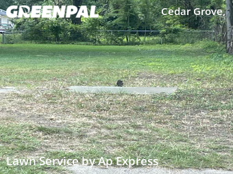 Grass Cut nearby Shreveport, LA, 