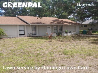 Grass Cut nearby Cape Coral, FL, 