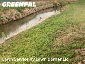 Yard Cutting nearby Evans, CO, 