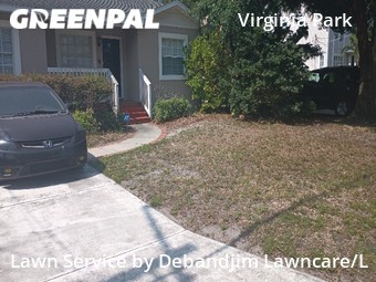 Grass Cut nearby Tampa, FL, 