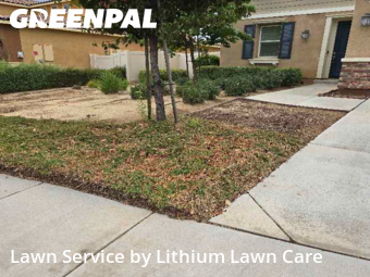 Work completed by grass-care-professionals-in-Beaumont-CA