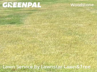 Lawn Service nearby San Antonio, TX, 
