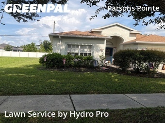 Grass Cut nearby Seffner, FL, 