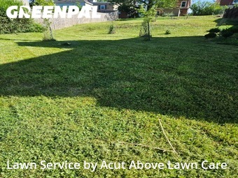 Lawn Cutting nearby Ross Township, PA, 