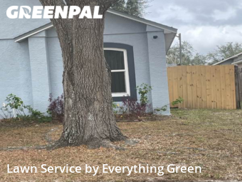 Grass Cut nearby Orlando, FL, 