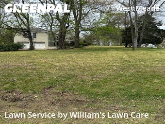 Lawn Mowing nearby Nashville, TN, 