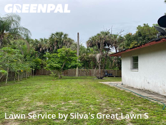 Grass Cut nearby Bonita Springs, FL, 