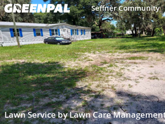 Grass Cut nearby Seffner, FL, 