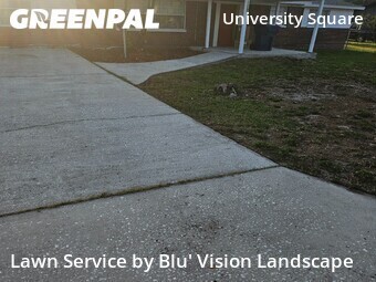 Lawn Cutting nearby Tampa, FL, 