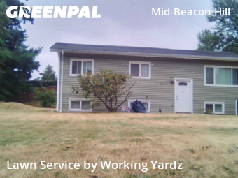 Mowing Services in Seattle, 98108, Yard Services by Working Yardz, work completed in Nov , 2025