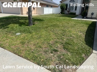 Work completed by grass-cutting-businesses-in-Chula Vista-CA