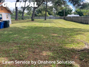 Lawn Care nearby Largo, FL, 