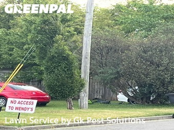 Lawn Cut nearby Murfreesboro, TN, 